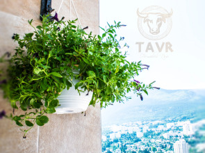 Гостевой Дом Тавр