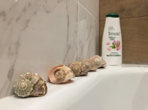 Квартира Райдас на Чапаева 61