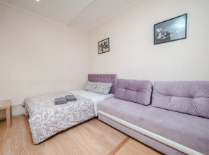 Апартаменты На Маяковской (907)