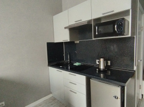 Апартаменты  Мятный уголок Уютная студия  с диваном у Ботанического сада