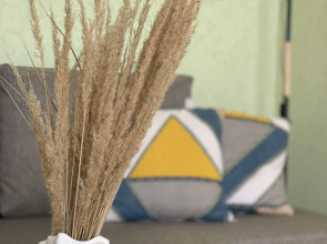 Квартира Просторная однокомнатная квартира для Вашего отдыха