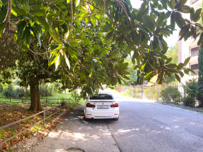 Апарт-отель Лотос