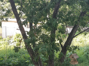 Квартира Esda