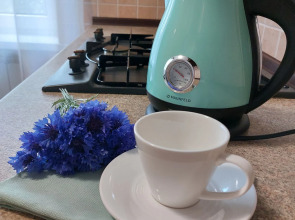 Квартира у Европы