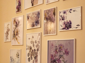 Апартаменты Светогор