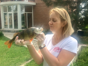 База отдыха Замок