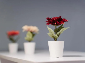 Апартаменты «9 ночей» в центре Петрозаводска, Шотмана 3 №1