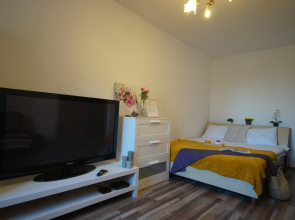 Апартаменты PiterHouse Apartments Turku 11