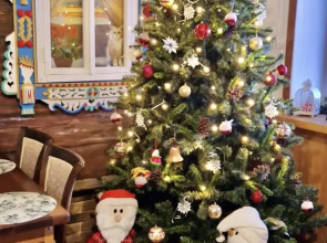 Гостевой дом Спутник