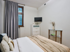 Апартаменты 2х-комнатные в Доме клубного типа - Третьяковская галерея