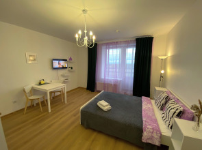 Квартира Студия Зеленая в Песочном