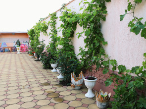 Гостевой дом Валенсия Джубга