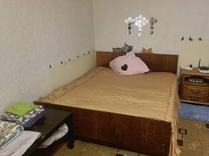 Na Zagorodnoj 24A Apartments