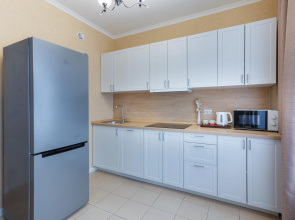 Апартаменты Inndays Apartments on Monahova