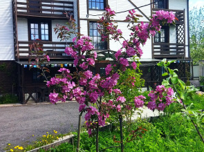 Гостевой Дом Старая Стрельна