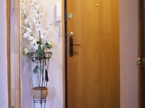 Апартаменты Однокомнатная квартира с камином и посудомойкой