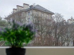 Апартаменты в Самом центре Светлогорска