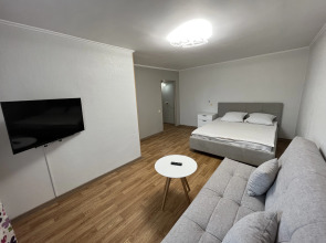 Апартаменты Топольники