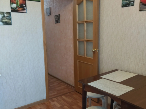 Квартира Двушка у аэропорта