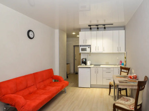 Апартаменты в Заельцовском бору около Зоопарка