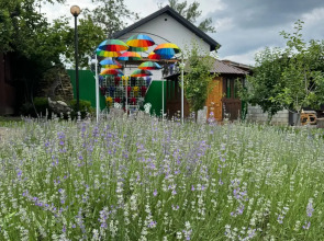 Гостевой дом Отдых у реки