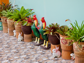 Мини-отель Jardin