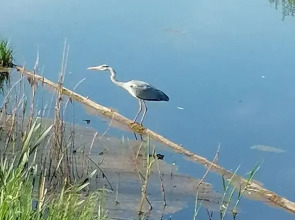 Частный дом На Берегу Озера