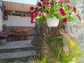 Меблированные комнаты Celica