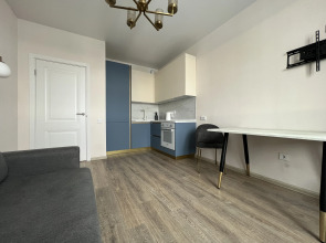 Апартаменты Евро 2-ком Логинова 7/2-488