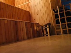 Гостиница Бриз-Морское