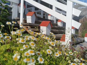 Гостевой Дом Уютный Тихвин