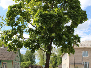 Гостиница Печоры-Парк