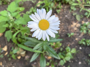 Гостевой Дом На Энгельса