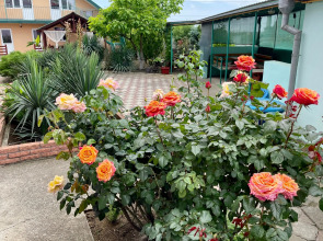 Гостевой Дом Фортуна