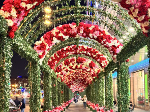 Квартира в центре с великолепным видом на реку