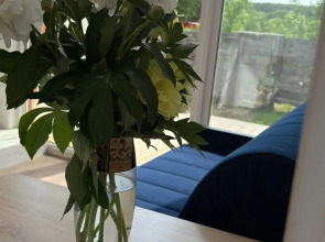 Частный дом Барн хаус