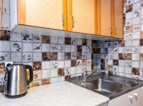 Уютные апартаменты Natali на метро Зюзино