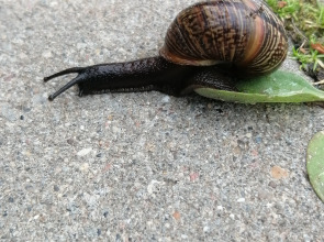 Гостевой дом Окулова Заимка