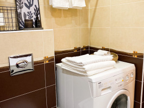 Апартаменты Rubtsovka Flat