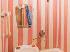 Апартаменты Двухкомнатная квартира пр. Кирова 60 СУПЕР-ЭКОНОМ