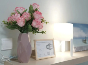 Квартира Серафимовича 1/4-1