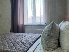 Апартаменты СтудГородок (39)