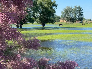 База отдыха Домик в Лотосах
