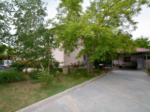 Отель Пчела