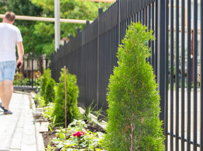 Гостевой дом Домус Море