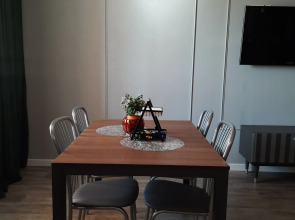 Апартаменты Рыжий Кот Дружный