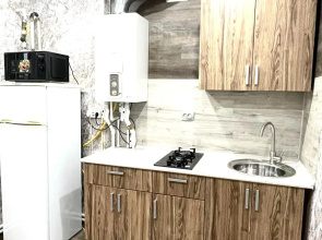 Klassnaya Odnushka s Remontom v Samom Tsentre Apartments