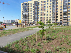 Квартира Луговая 2