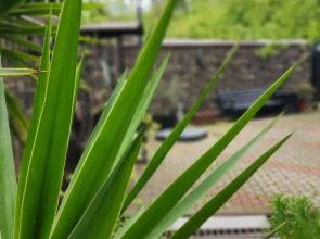 Гостевой дом Villa Soho Sochi Russia