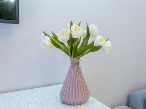 Апартаменты Альт-Платц номер 45